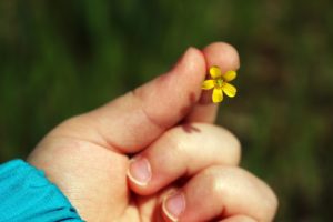 La regolamentazione dei rapporti tra genitori e figli nati nel matrimonio e non